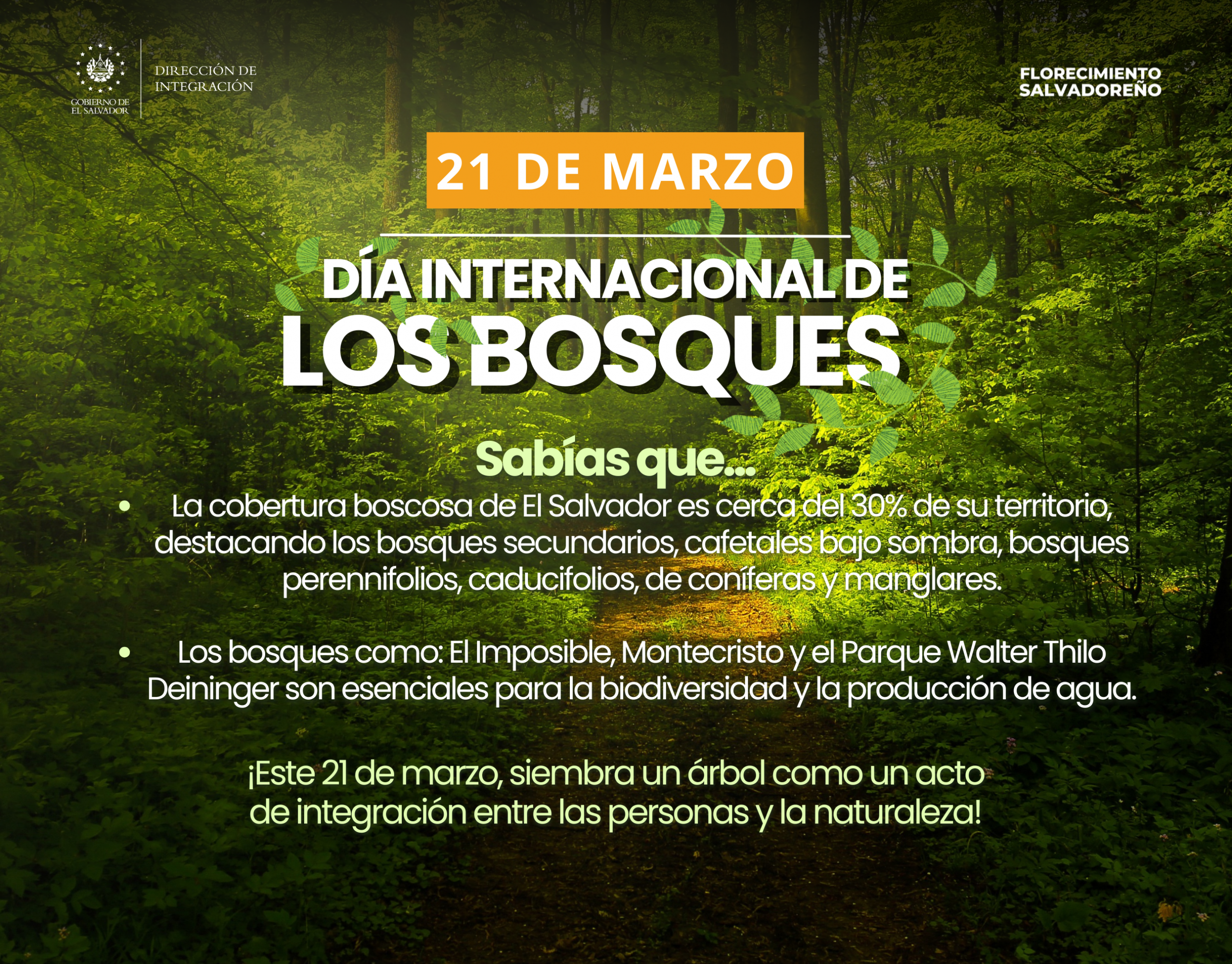 Día Internacional de los Bosques