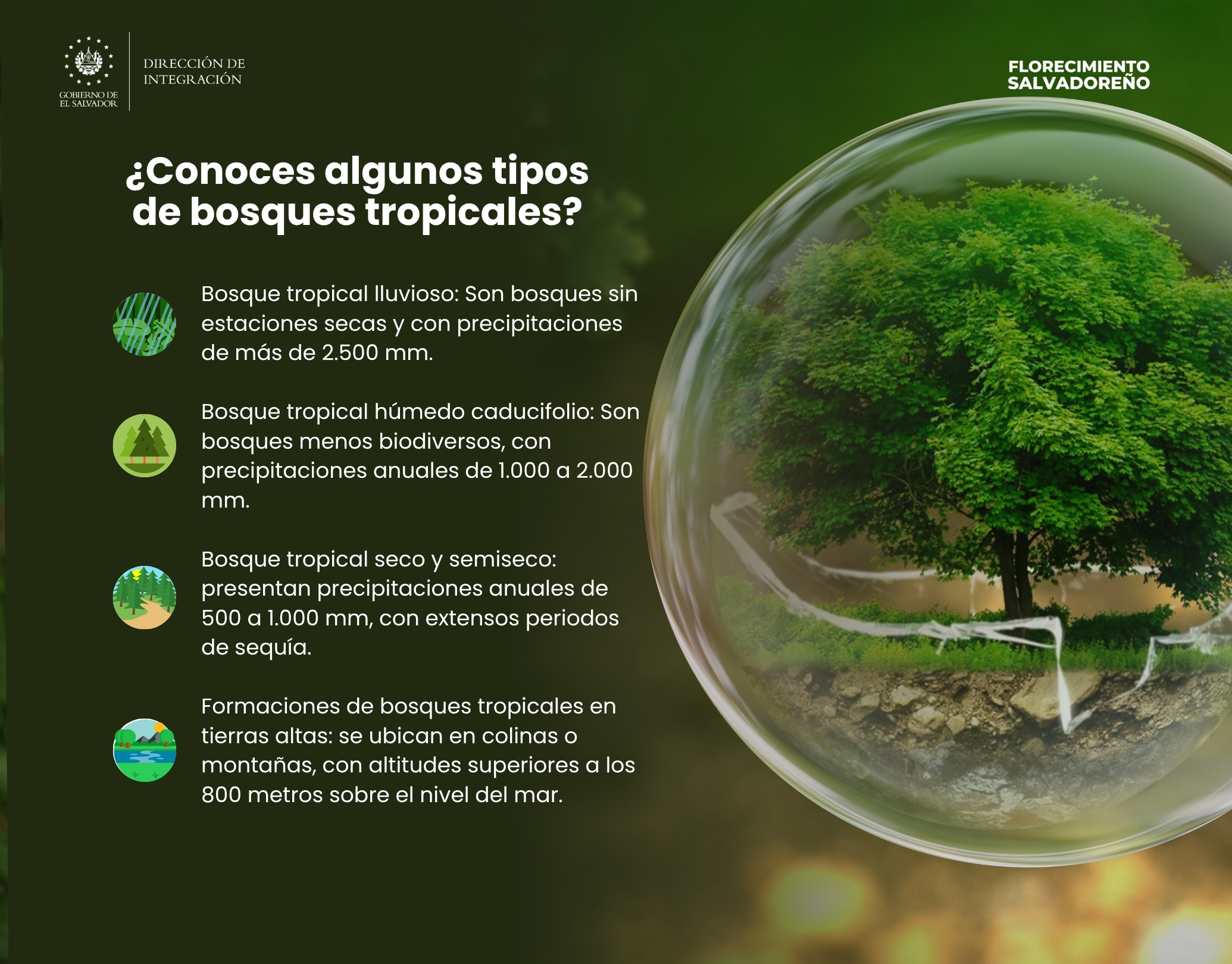 22 Junio (2)