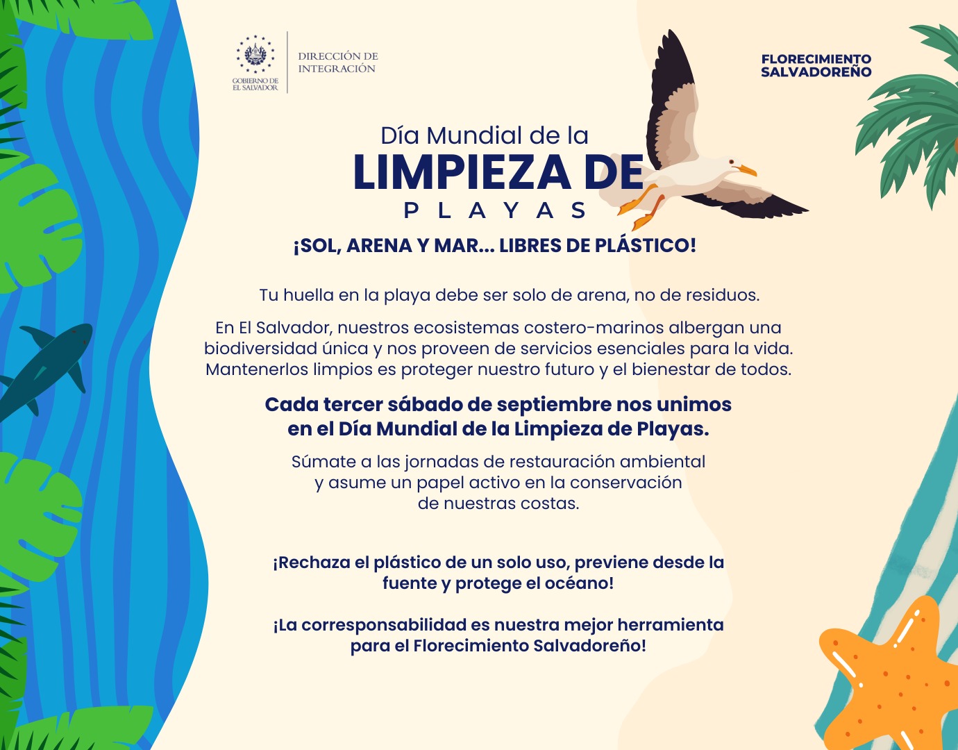 Limpieza de playa