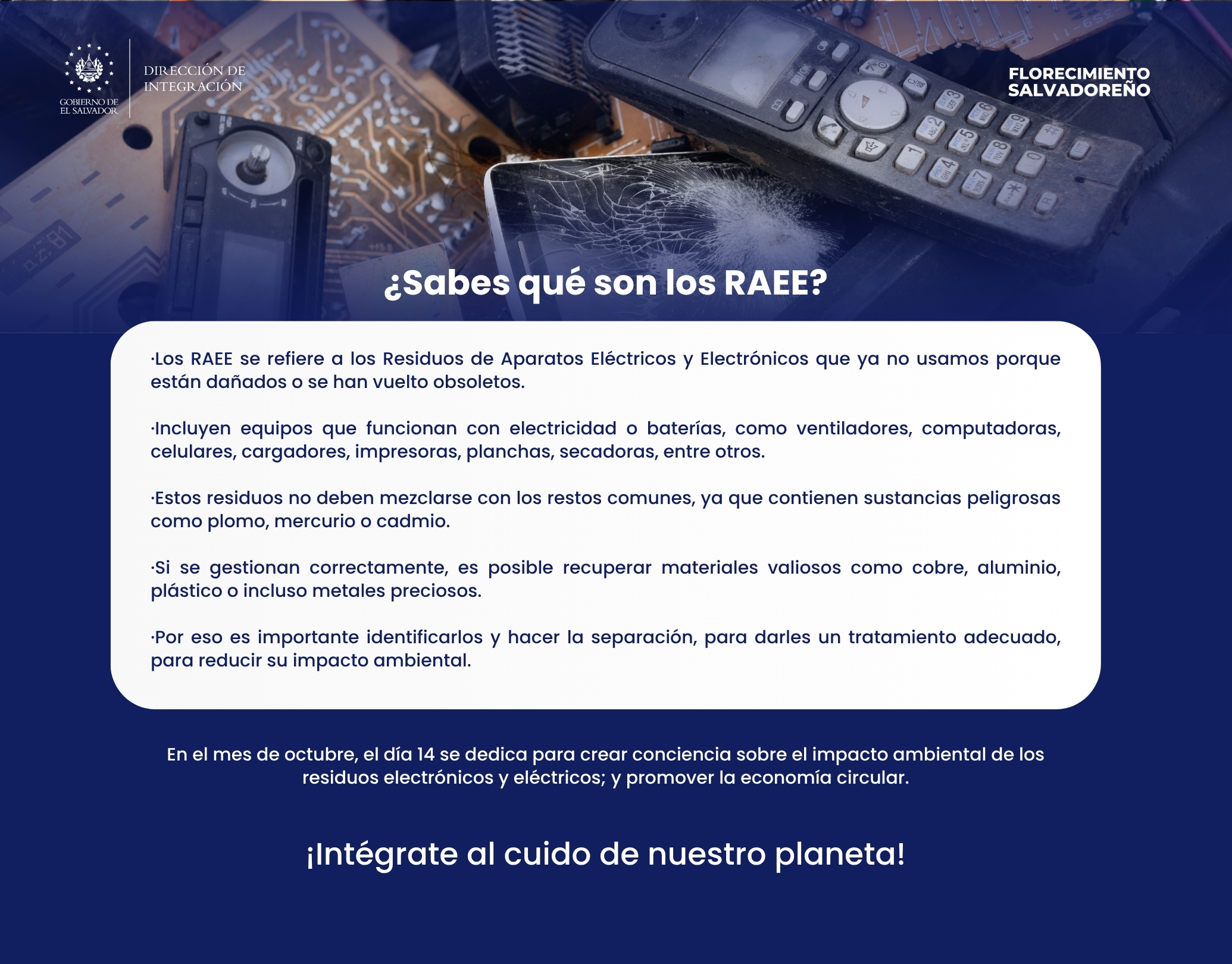 Medio Ambiente (1).jpg