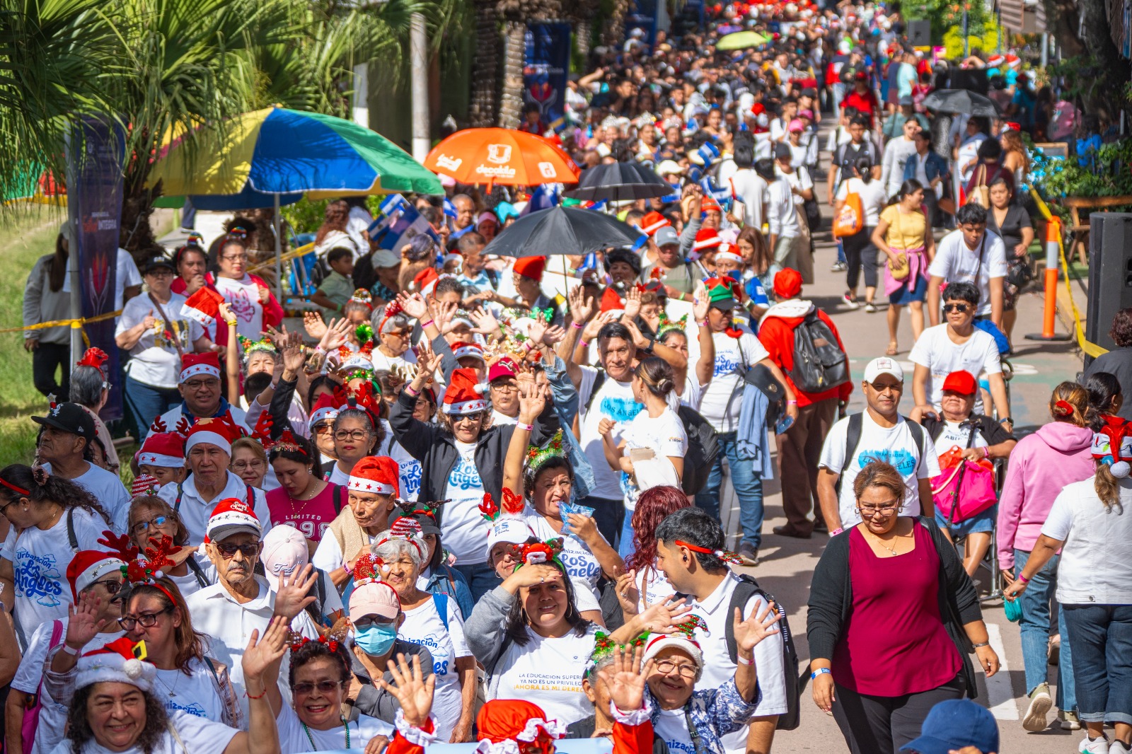 Imagen 21